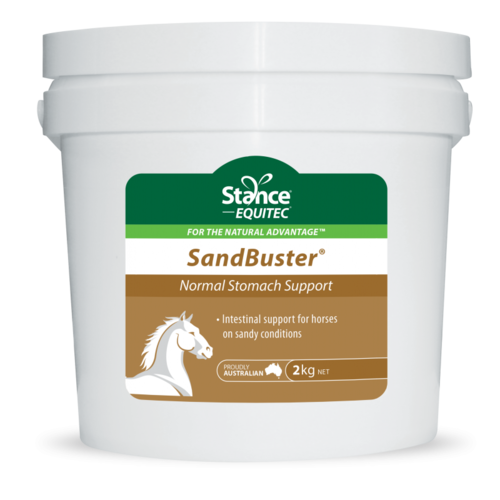 Stance Equitec Sandbuster [size: 2 kg]