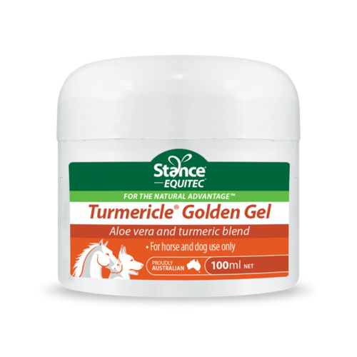 Stance Equitec Tumericle Golden Gel [size: 100ml]