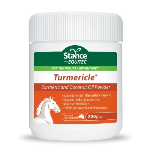 Stance Equitec Tumericle