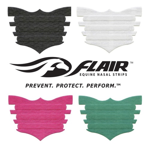 FLAIR Nasal Strips
