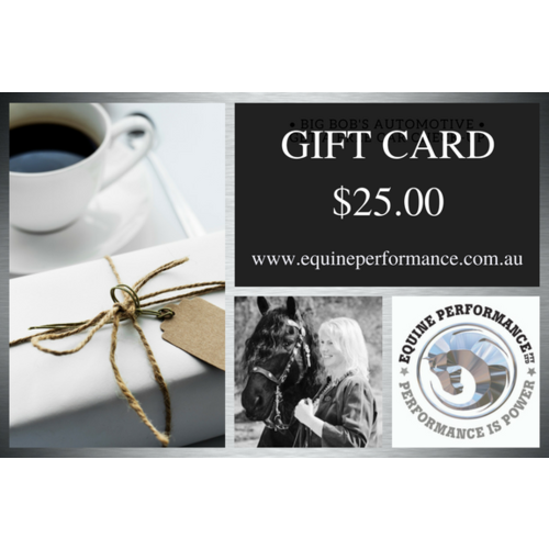 $25 e-Gift Card