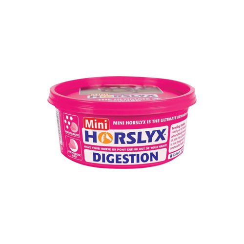 Horslyx Digestion Vit & Min Lick