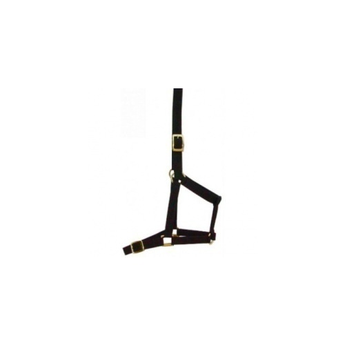 Canta Webbing Halter