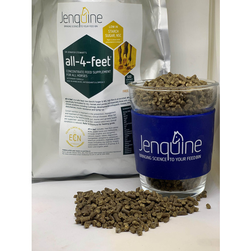 Jenquine All-4-Feet [size: 10kg]
