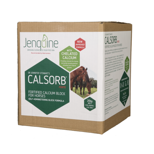 Jenquine Calsorb Forte