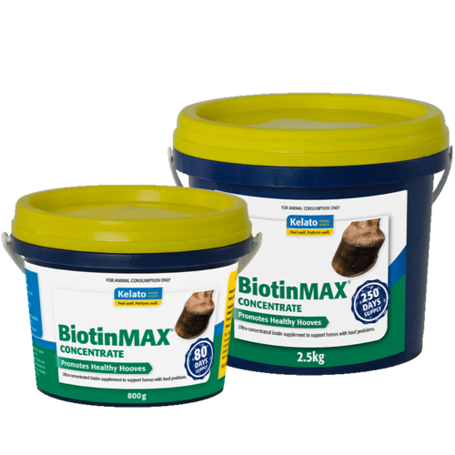 Kelato BiotinMax Concentrate [Size: 800g]
