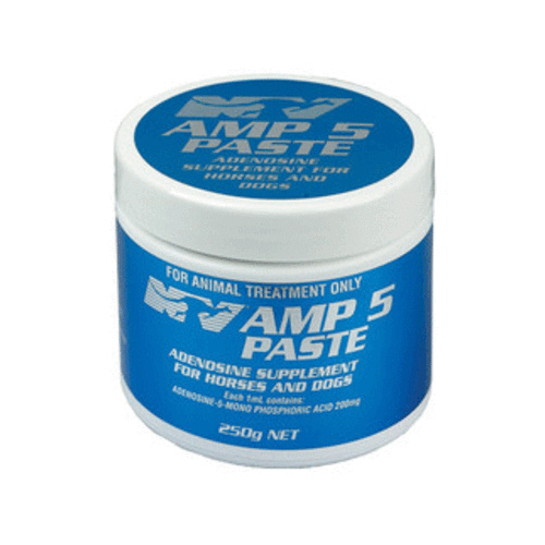 AMP-5 Paste