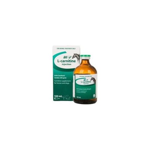 L-Carnitine