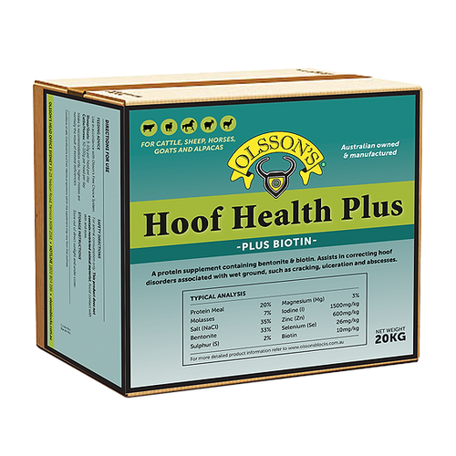 Olsson Hoof Health Plus