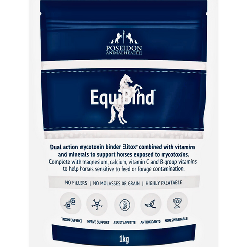 Poseidon EquiBind