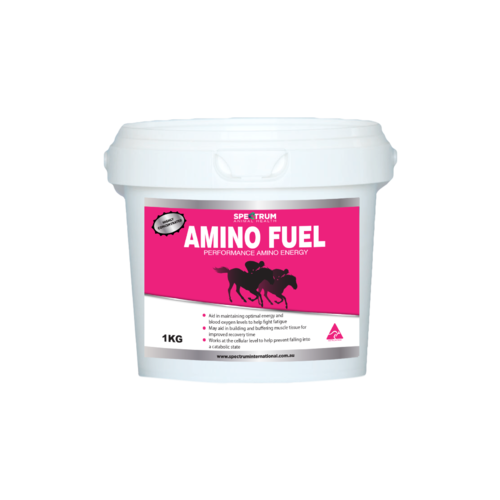 Spectrum Amino Fuel [size: 1kg]