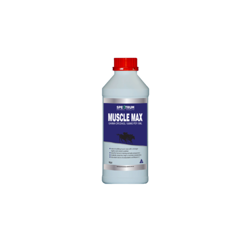Spectrum Muscle Max