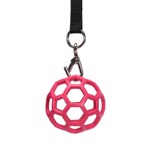 Horsemaster Stable Feed Ball [Colour: pink]