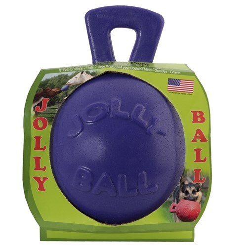 Jolly Ball [Colour: purple] [size: 8" (20cm)]