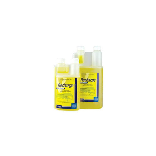Recharge for Dogs [Size: 1L]