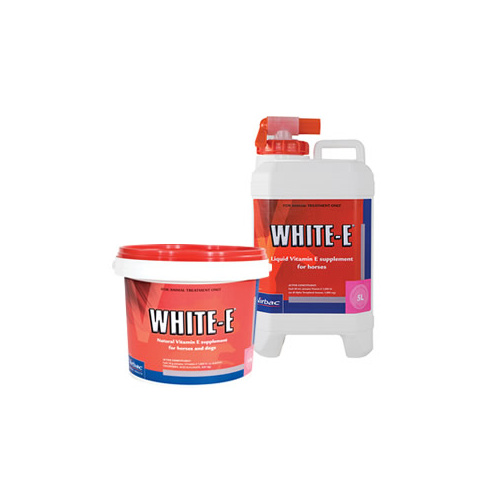 White-E [Size: 1.5kg]