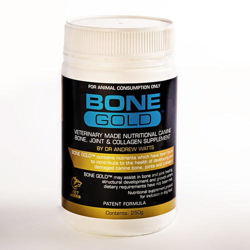 Bone Gold Canine