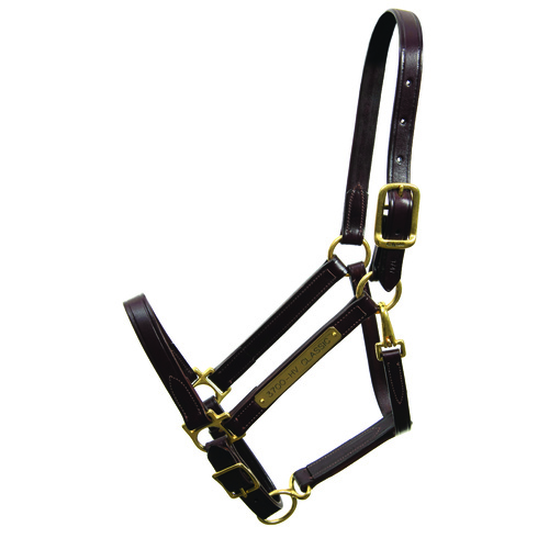 Walsh Leather Classic Halter [Size: Yearling / Medium Pony]