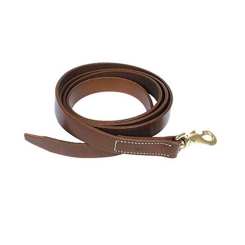 Walsh Leather Lead with Snap