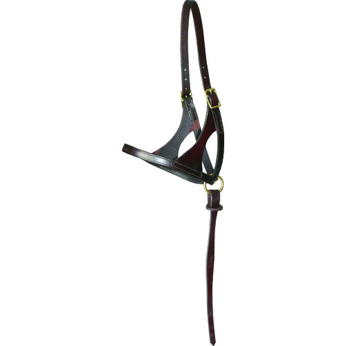 Walsh Leather Foal Halter
