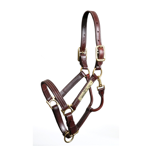Walsh Leather Kentucky Halter