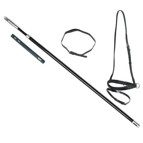 Zilco Lugging Pole Set Complete