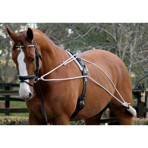 Zilco Lunge Training System
