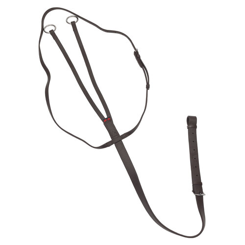 Zilco training running martingale