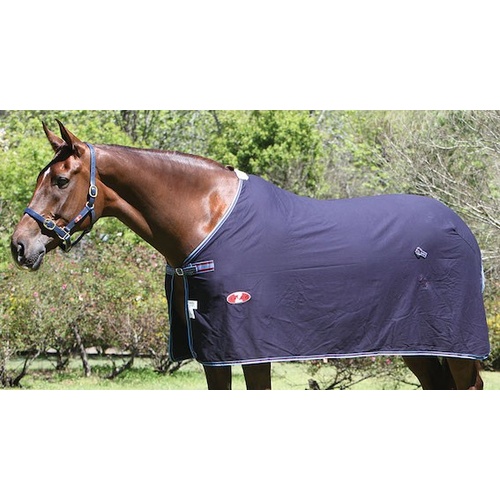 Zilco Defender Cotton Dress Rugs [Size: 6 ft 6] [style: Rug]