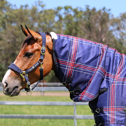 Zilco Crusader 200 [style: Neck Rug]