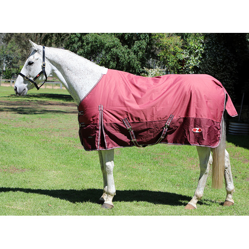 Zilco Explorer 200 [Size: 4 ft] [style: Rug]