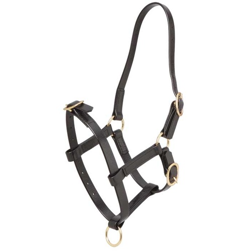 Zilco PN Foal Halter