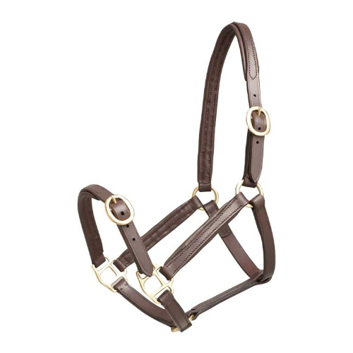 Aintree Leather Foal Halter [size: small]