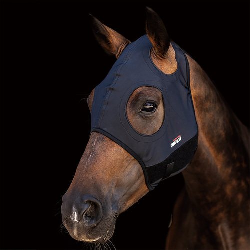 Lami-Cell Come Best Titanium Hood