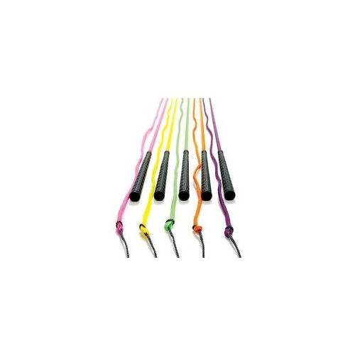 Aintree Neon Lunge Whip