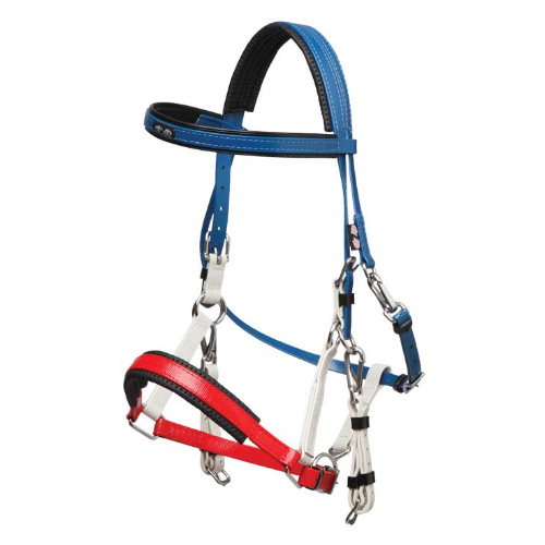 Zilco Marathon Bridle [Colour: royal/white/red]