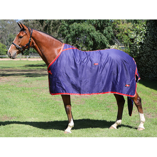 Zilco Show Circuit Cotton Rug [style: rug] [size: 5'6]
